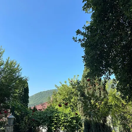 Sultan * Jajce