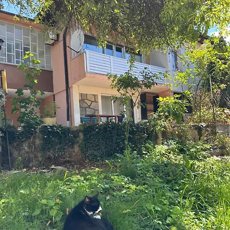 Sultan Apartment